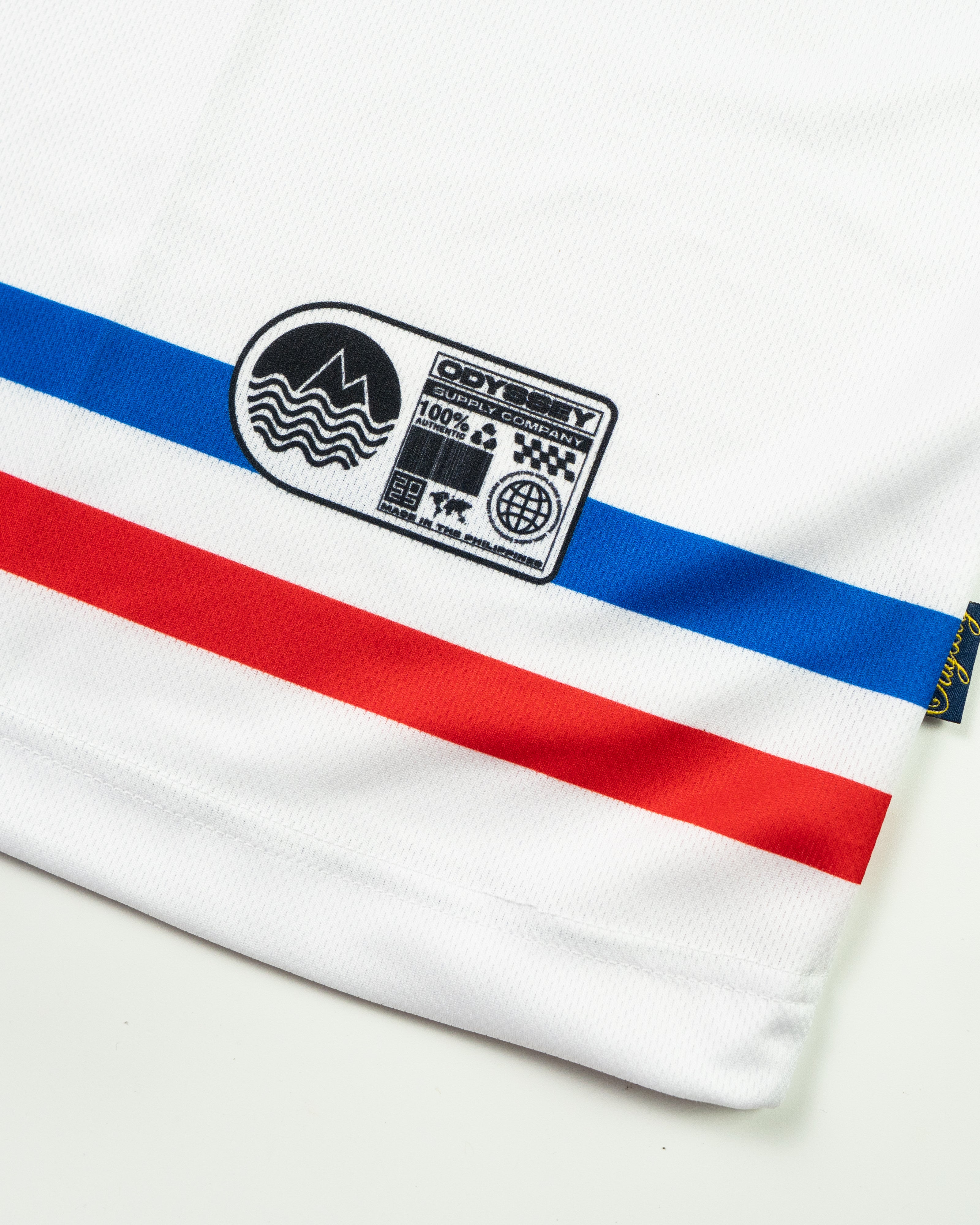 Flag Runner